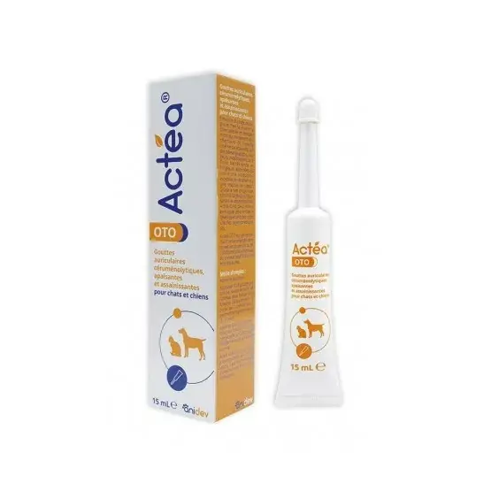 Actea oto - Stock presque épuisé