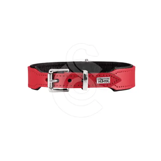 Collier cuir Hunter Basic | Liquidation