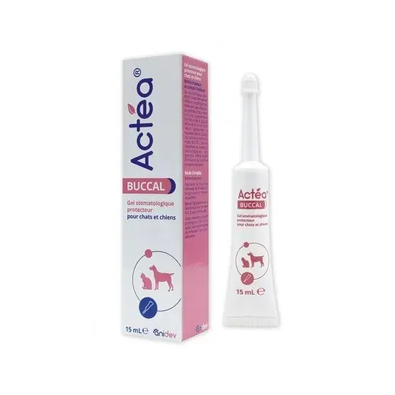 Prix usine | Actea buccal