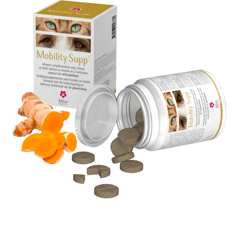 Disponible à la commande - Miloa Mobility Supp - complément articulations chien & chat