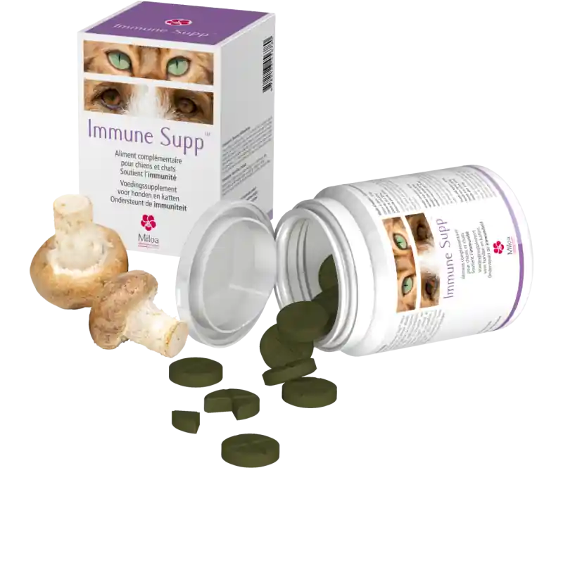 Envoi rapide | Miloa Immune Supp - complément immunité chien & chat