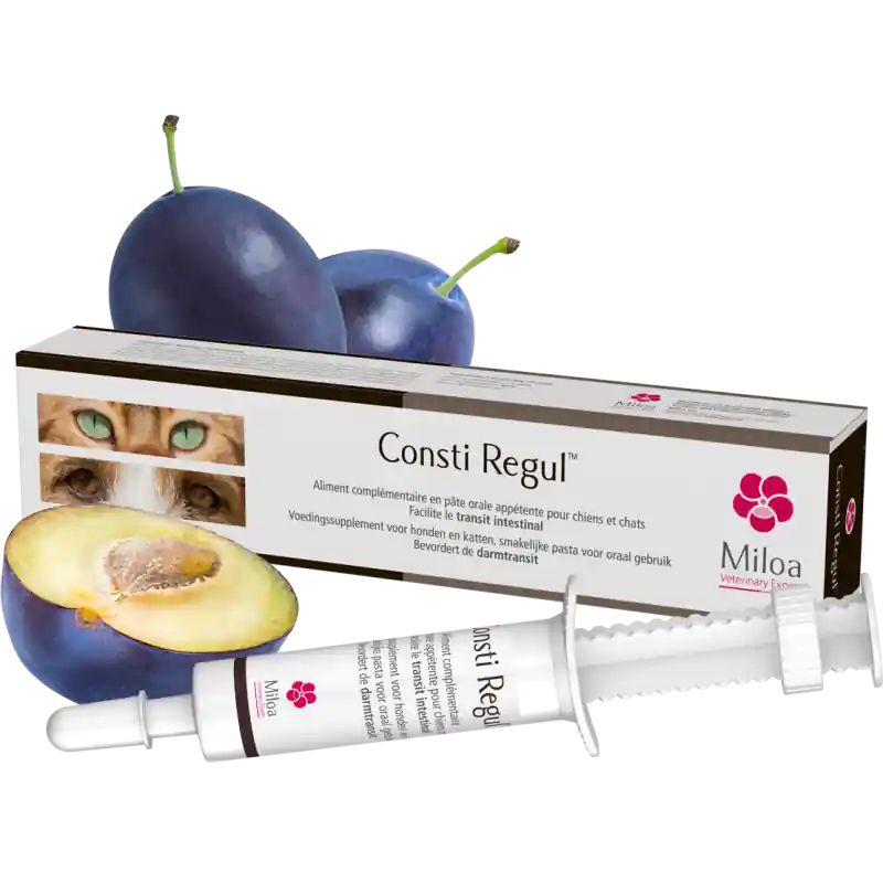 Miloa Consti Regul - complément transit intestinal chien & chat | Ajoutez au panier