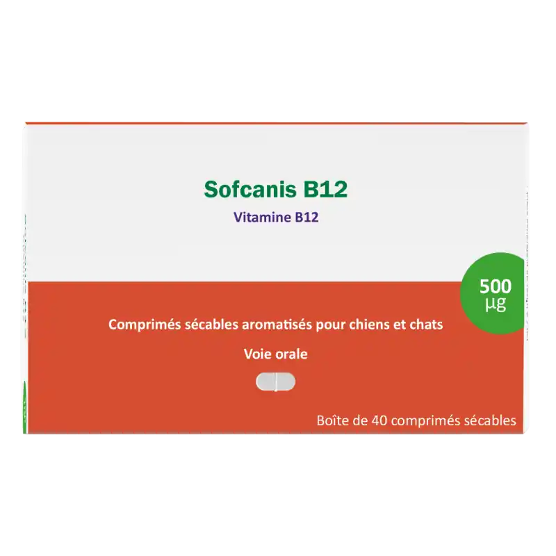 Derniers articles | Osalia Sofcanis B12 - complément vitamines chien & chat