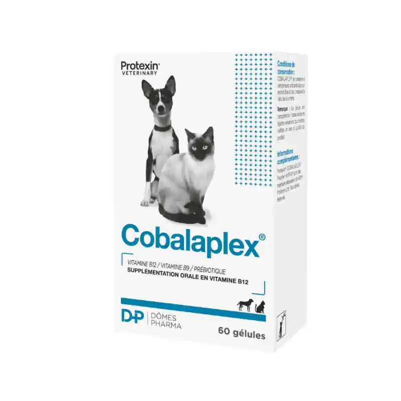Jusqu'à épuisement des stocks - Dômes Pharma TVM Cobalaplex - complément troubles digestifs chien & chat