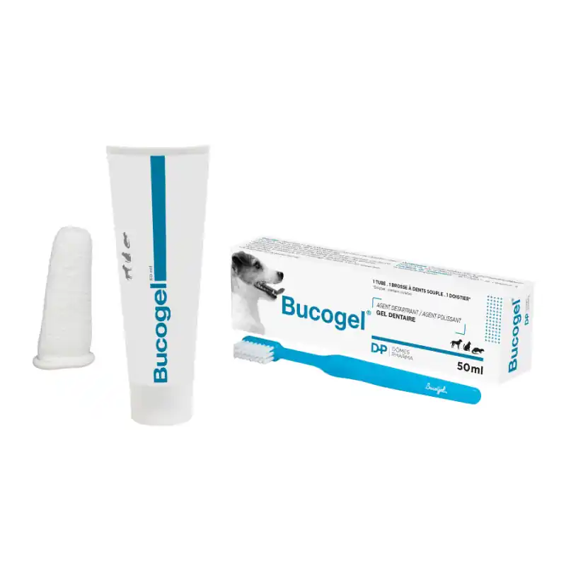 Tout nouveau | Dômes Pharma TVM Bucogel - dentifrice chien, chat & furet