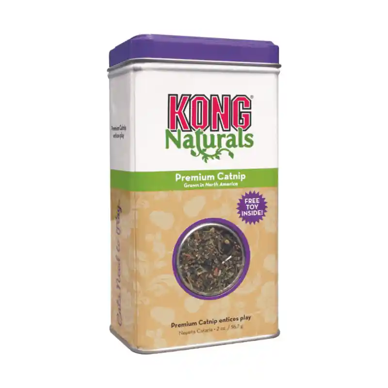 Haute qualité | Kong Premium Catnip - herbe à chat