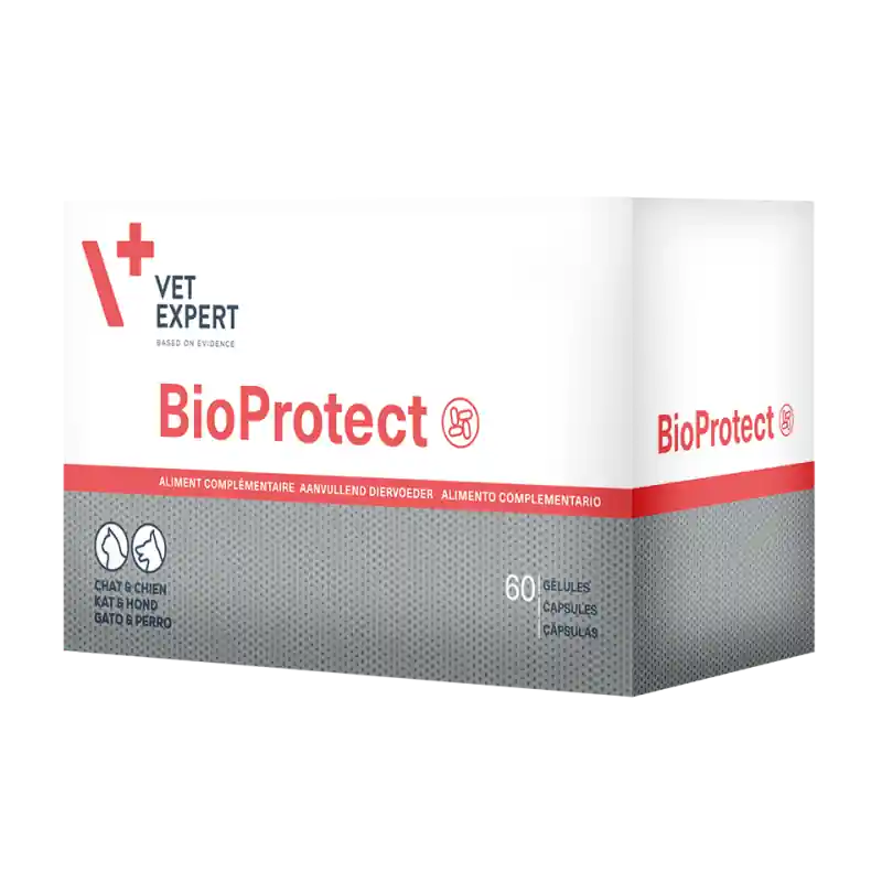 Nouveau produit - Vetexpert BioProtect - complément microbiote intestinal chien & chat
