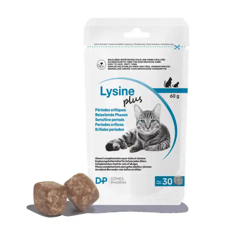 Dômes Pharma TVM Lysine Plus - complément immunité chat | Satisfait ou remboursé