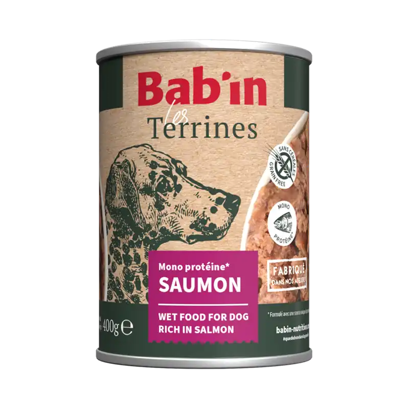 Dernier arrivage | Bab‘in - Terrine Adulte Saumon pour Chiens - 400g