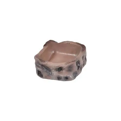 Mangeoire small pour terrarium, reptiles et lézards - Profitez-en