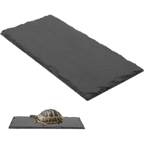 Plateau de distribution de nourriture pour reptiles, bac à nourriture en pierre, plateau de distribution de nourriture pour tortues-25.00X12.00X0.30CM-Grey - Prix mini