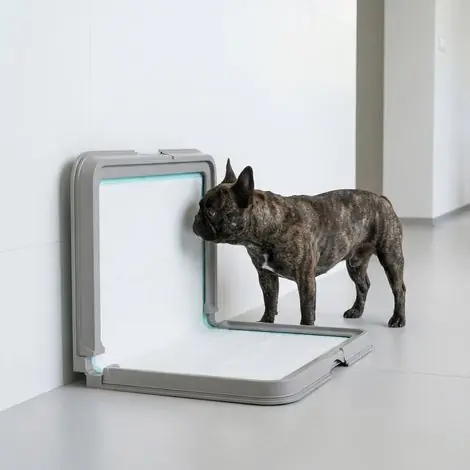 Bac à litière pliable pour chien 86 x 62 cm avec 3 pieds antidérapants, gris - Satisfait ou remboursé