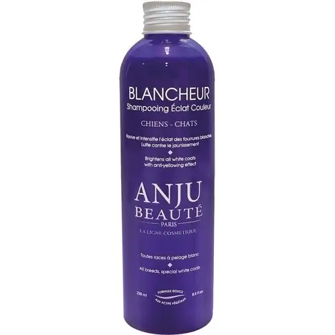 Shampooing Eclat Blancheur Anju Beauté 250ml | Très populaire