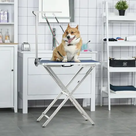 Commandez dès maintenant - Bras de toilettage animaux inox pliable avec collier serrage, hauteur max 74 cm, accessoire pro, réglable pour chiens petits et grands