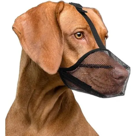 Coup de cœur - Muselière respirante réglable pour petits, moyens et grands chiens Nylon résistant Protection contre morsures et léchage