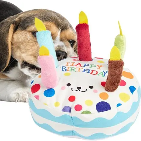 Jouet en peluche pour chien en forme de gâteau d‘anniversaire - Coup de cœur
