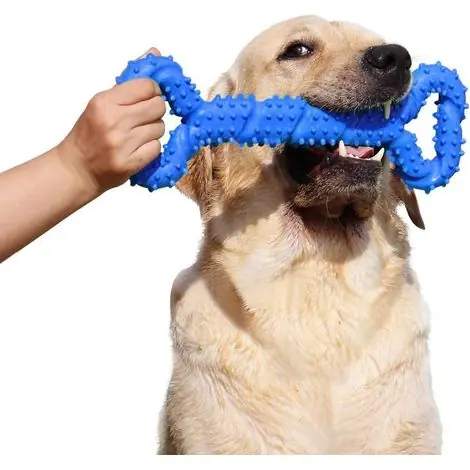 Chien Jouets à mâcher Résistant en Caoutchouc 13 inch Os Jouet en Forme de Chien Chiots avec Convex Design Jouet Chien interactif Solide pour Les Chewers Agressifs Petits et Grands Chiens - Réduction spéciale