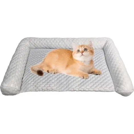 Lit Rafraîchissant pour Chien - Matelas Rafraîchissant pour | Très bien noté