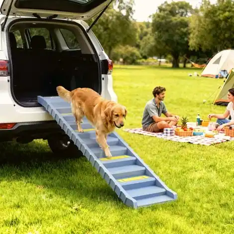 Prêt à expédier - Rampe pliable pour voiture, escalier pour chien à 10 marches, surface antidérapante, 154 x 40 cm, pour grands chiens jusqu‘à 25 kg