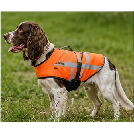 Gilet orange fluo réfléchissant pour chien Épagneul et Springer - Remise supplémentaire