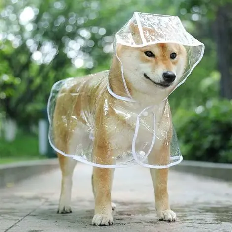 Manteau imperm��able pour chiens de petite taille et chats, avec capuche, r��glable, en PVC, transparent, et ultra-l��ge | Jusqu'à épuisement des stocks