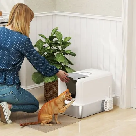 Bac à litière pour chat avec couvercle, plateau acier inoxydable, filtre intégré et pelle – idéal pour chats jusqu’à 6 kg, blanc - Premium