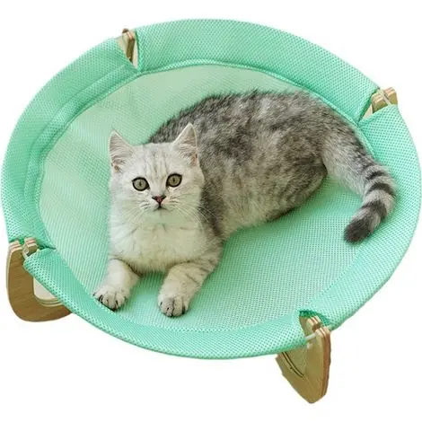Lit de camp pour chat | Commandez dès aujourd'hui