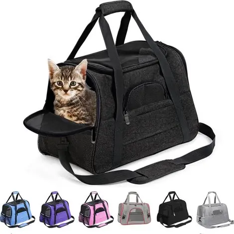 Sac Transport Chat, Chat et Chien Sac de Transport pour,Caisse de Transport Chat Respirant et Pliable Cage Transport Chat avec Matelas en Peluche Amovible Sac de Transport Chat(Noir) | Prix imbattable