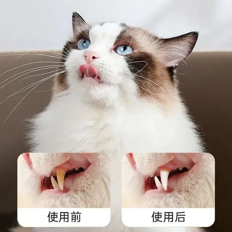 Stylo gel blanchissant pour dents d‘animaux, à la formule douce pour un nettoyage en profondeur du tartre et des taches chez les chats et les chiens. Tête de brosse souple. -- Stylo blanchissant pour - Derniers exemplaires