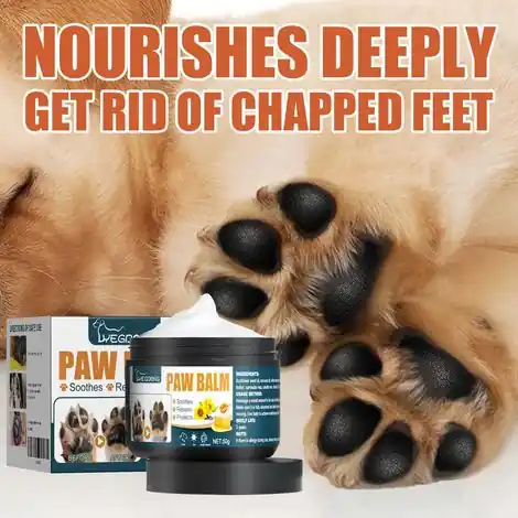Baume pour coussinets de chats et de chiens, idéal pour nettoyer et soigner les coussinets et les griffes - Boîte de 50 ml -- BIEMMEDUE | Prix exceptionnel