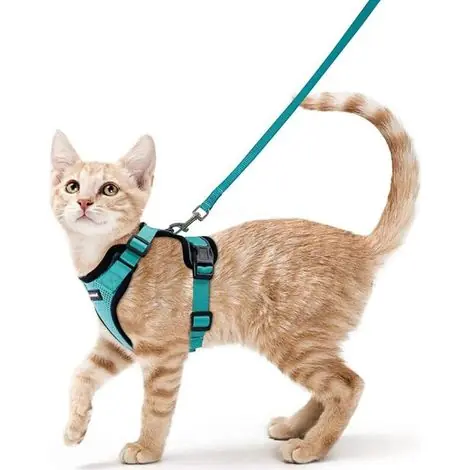 Harnais Chat Petit Chien Laisse Harnais Chaton Réglable Vert XS Collier Harnai Chat Refléchissant Gilet Respirant pour Lapin, Chat Européen, Maine Coon, Persan, Attache Dessus avec Laisse-Ensoleillé - Nouveau en boutique
