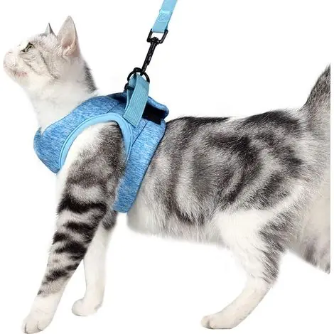 Laisse pour chat, laisse attachée pour chat, harnais pour chat, chaîne en corde résistante à la rupture pour chien, M - Quantité limitée
