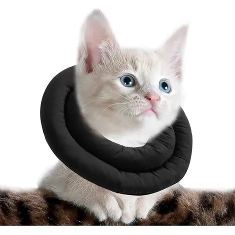 Tout juste disponible | Collier de récupération doux pour chat – Tissu coton haute qualité – Ajustable pour confort optimal – Protection après chirurgie