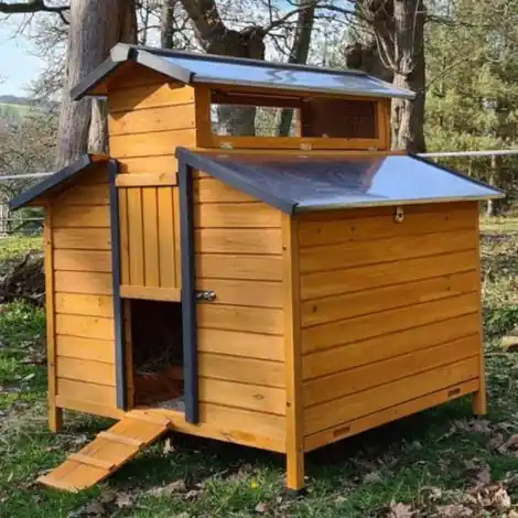 Prix usine | Poulailler Farmer Xl 6 À 10 Poules Bois Fsc Toit Tôle Ouvrant