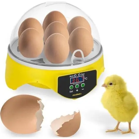 Couveuse automatique digitale 7 œufs – Contrôle intelligent de la température – Économie d‘énergie – Incubation pour volaille – Merkmak - Prix en baisse